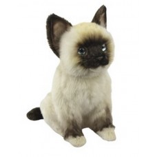Ragdoll Plush Kitten
